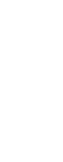 て