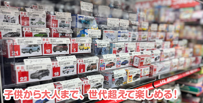 7号能代店