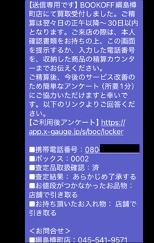 ステップ10画像
