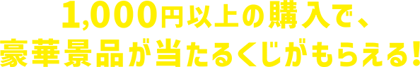 1,000円以上の購入で、豪華景品が当たるくじがもらえる！