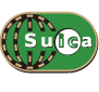 Suica