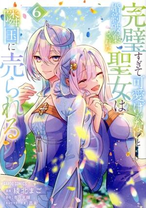 完璧すぎて可愛げがないと婚約破棄された聖女は隣国に売られる